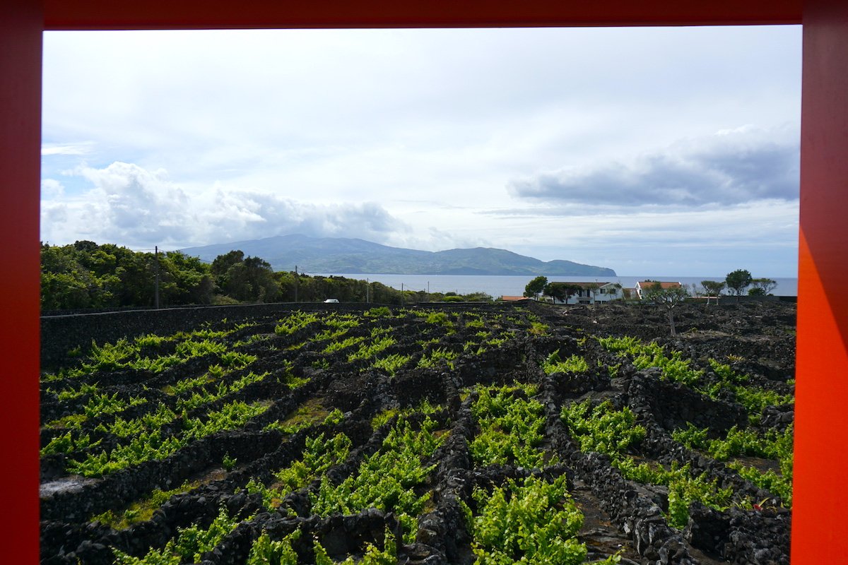Vistas del mirador del Museu do Vinho