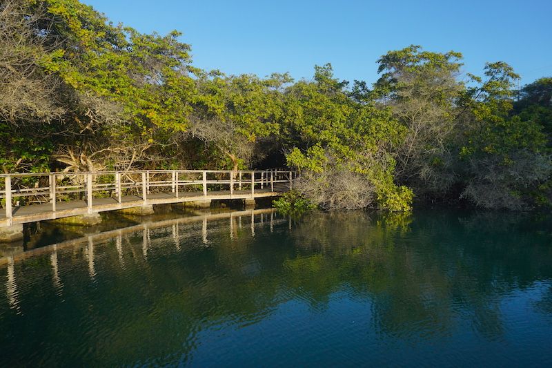Laguna de las ninfas, Santa Cruz