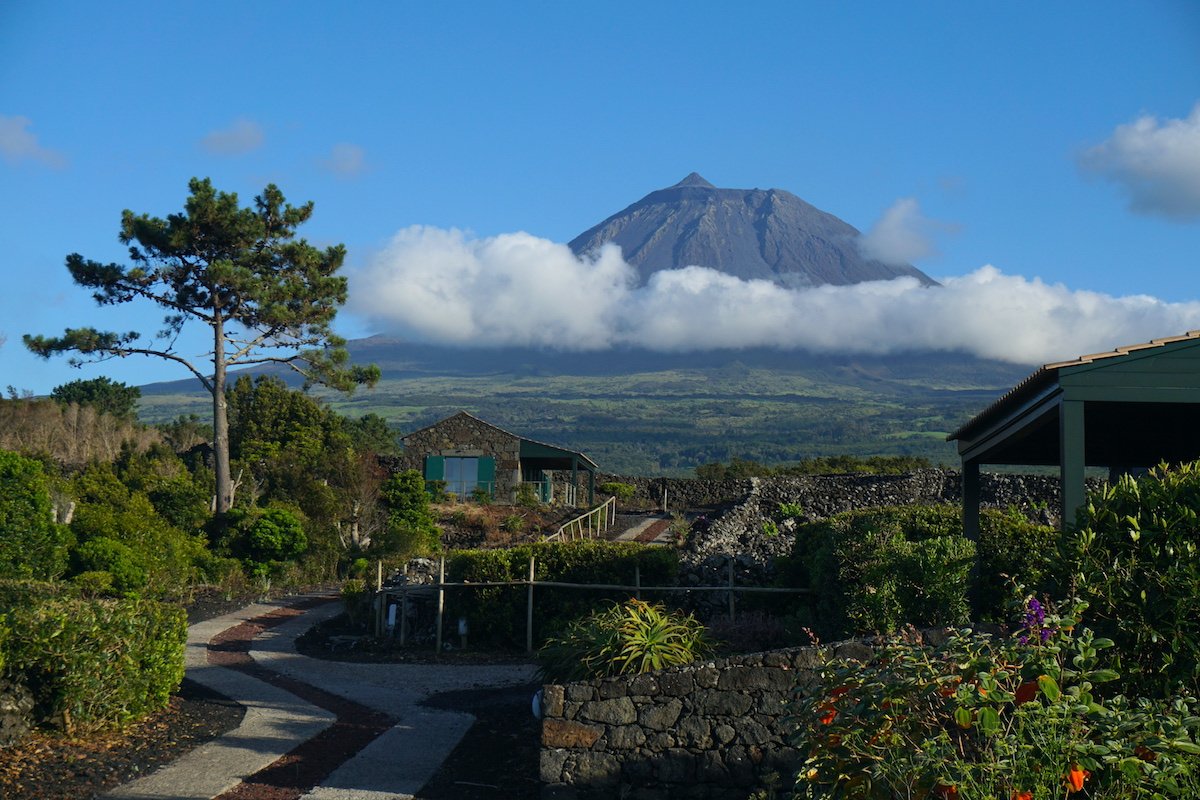 This image has an empty alt attribute; its file name is pico-montan%CC%83a-2.jpg