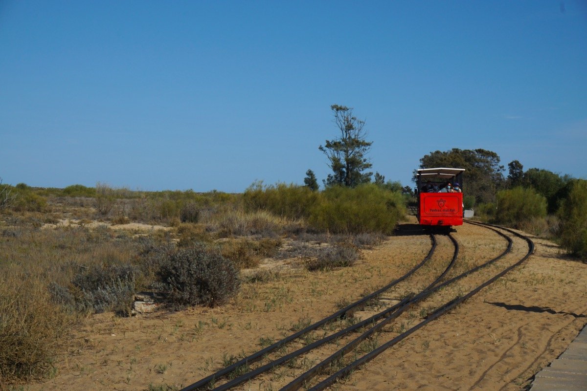 Tren turístico entre Pedras de El-Rei y Praia do Barril